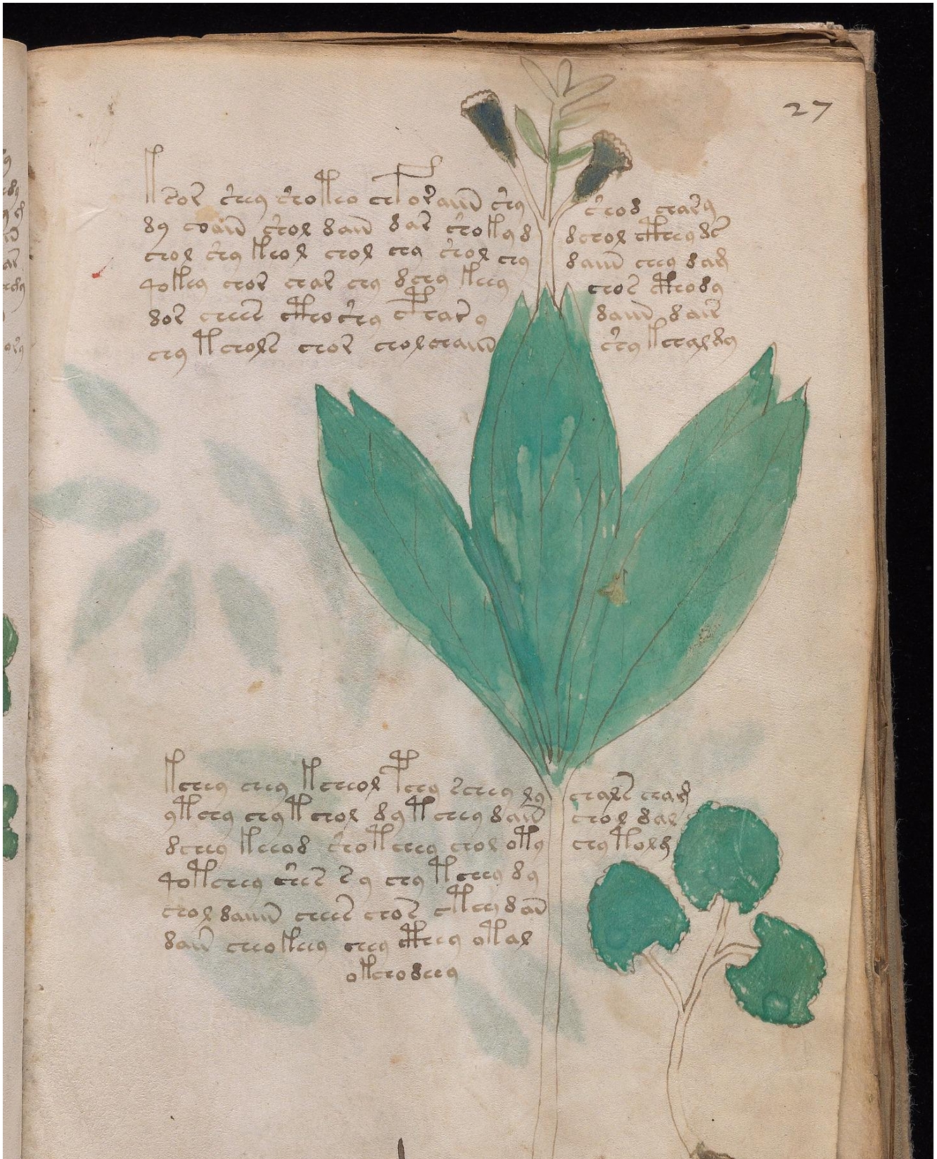Original manuscript of Folio 27r